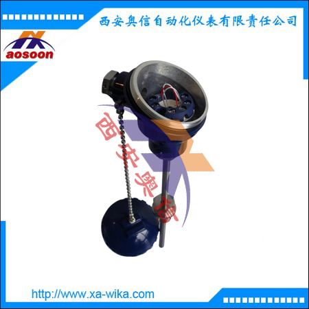 TR10-C T15 德国wika 一体化温度传感器